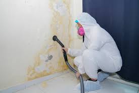 Best Mold Odor Removal Services  in Bethany, OR